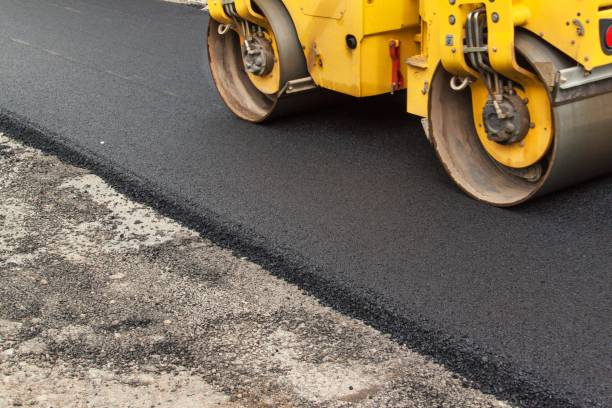 Best Custom Driveway Pavers  in Premont, TX