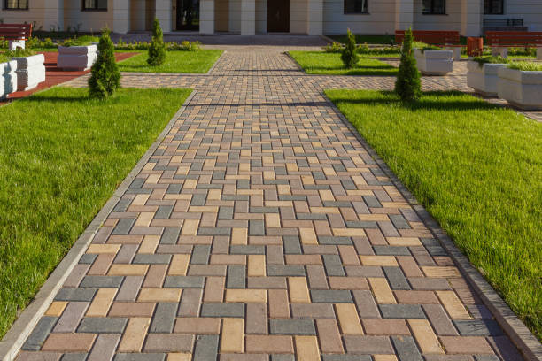 Best Driveway Paving Contractor  in Premont, TX